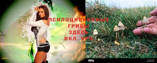 герыч Заводоуковск