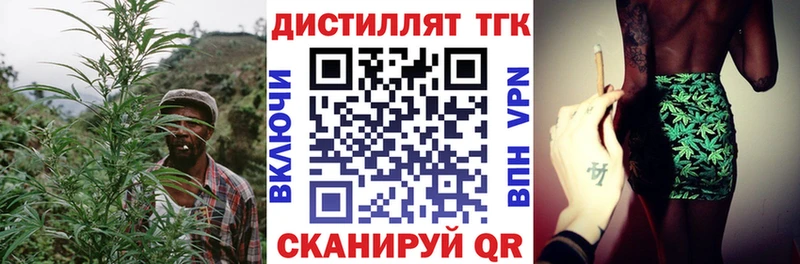 Купить где  Светлый  Дистиллят ТГК гашишное масло 